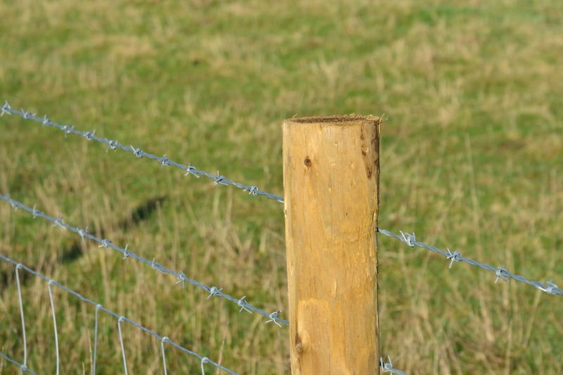Wire Fence Replacement